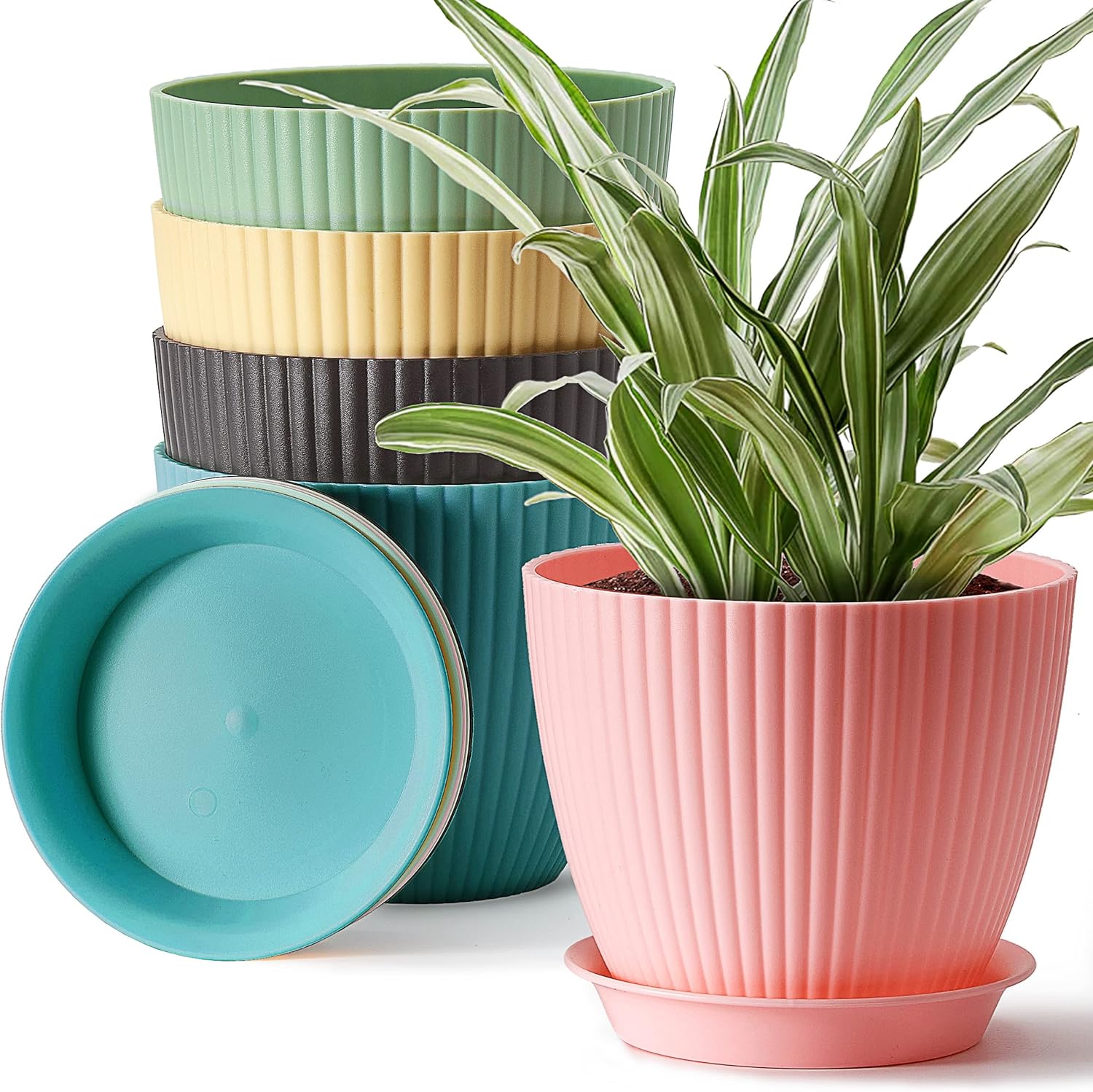 Planters