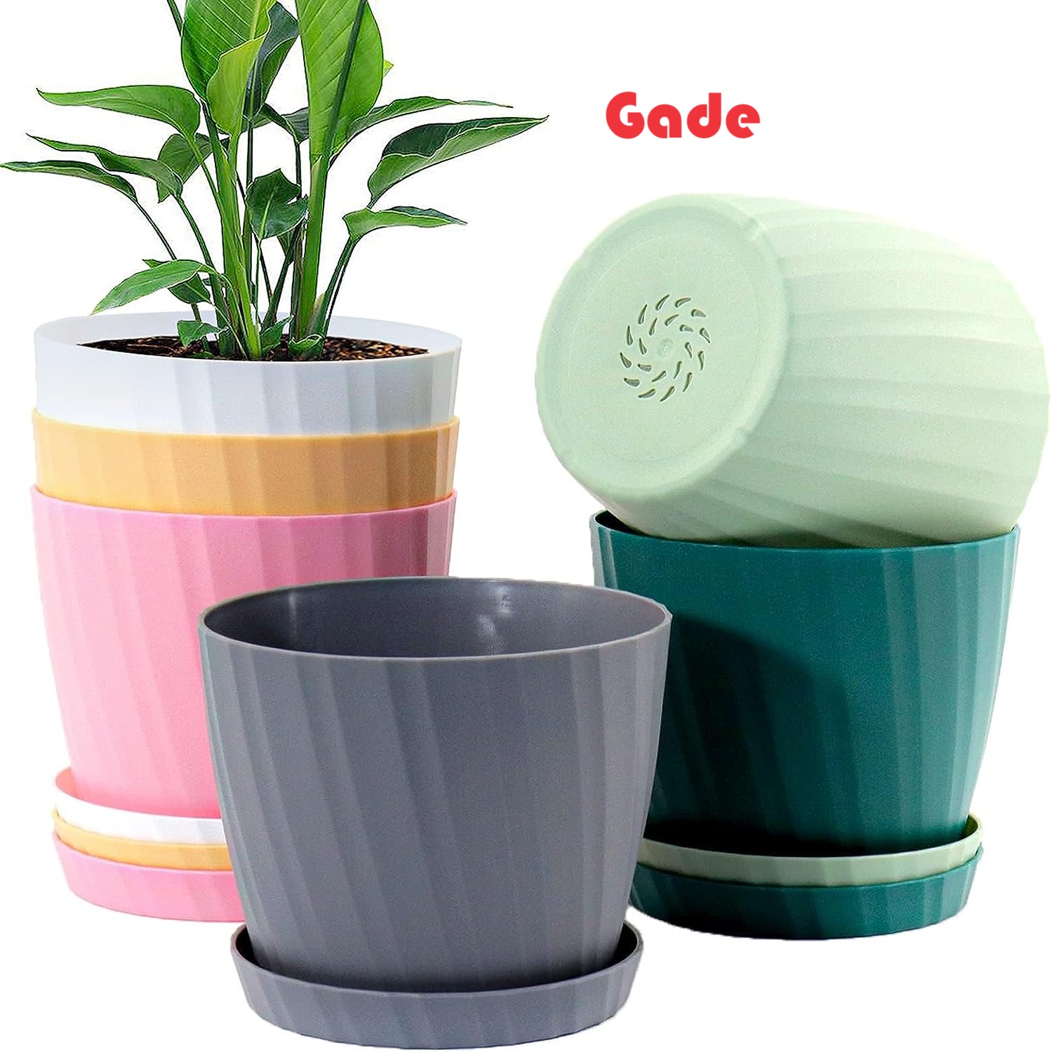 Flower Pot 7 Inch — Design 2